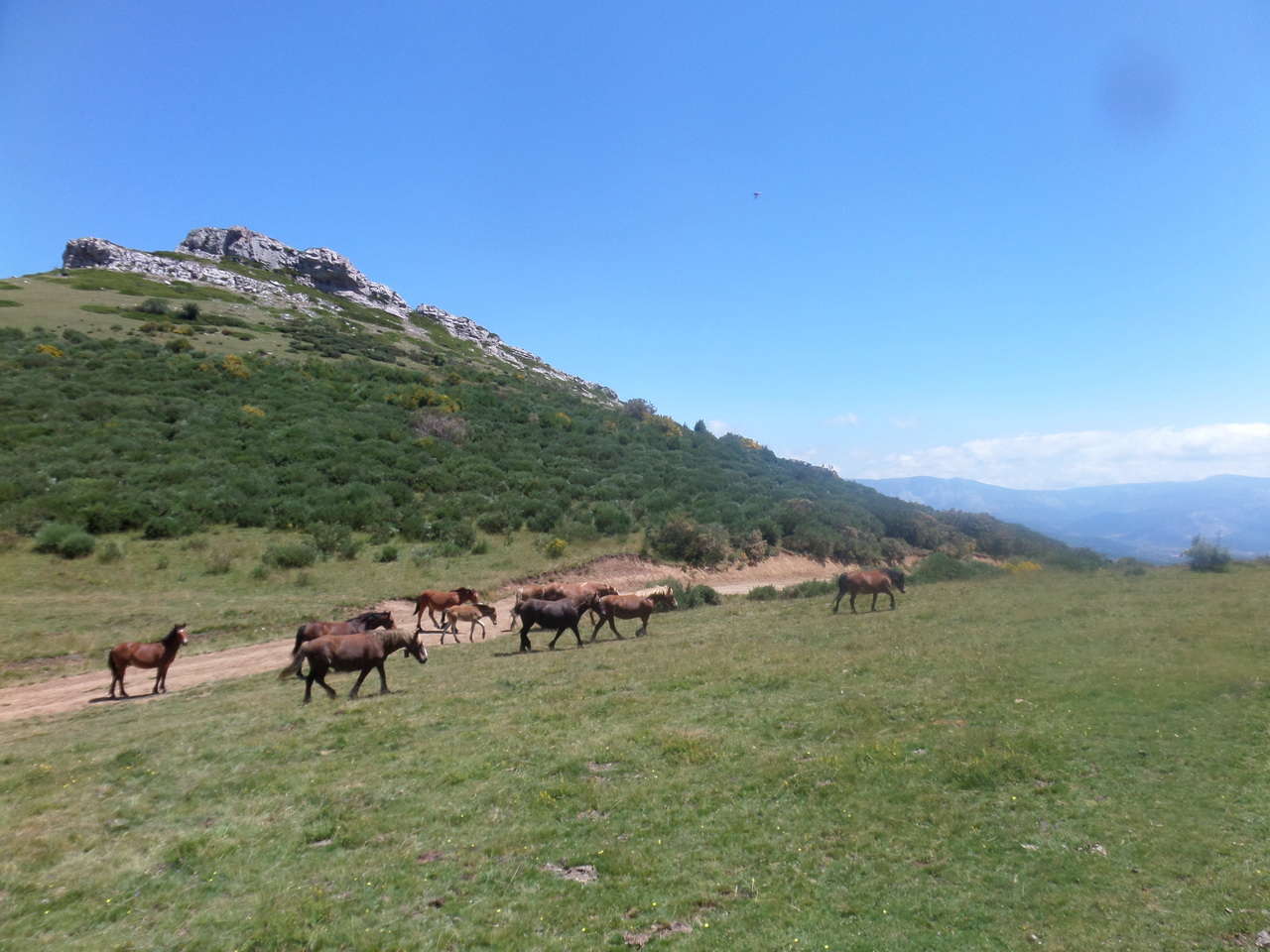 A 2019-07-14 13-28-13